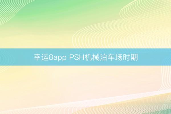 幸运8app PSH机械泊车场时期