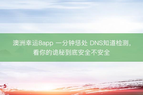 澳洲幸运8app 一分钟惩处 DNS知道检测，看你的诡秘到底安全不安全