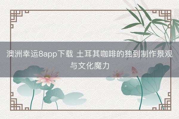 澳洲幸运8app下载 土耳其咖啡的独到制作景观与文化魔力