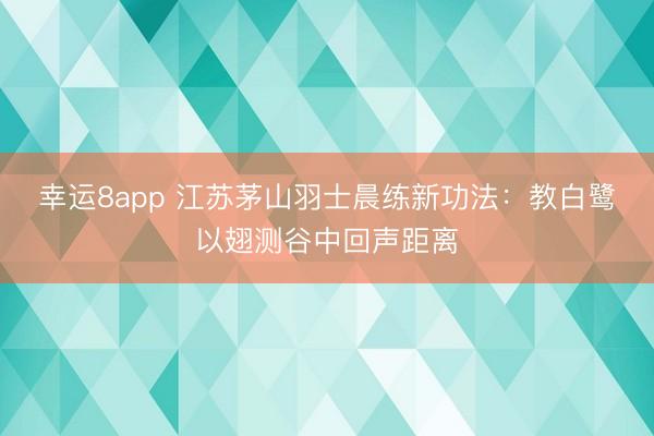 幸运8app 江苏茅山羽士晨练新功法：教白鹭以翅测谷中回声距离