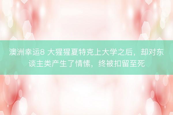 澳洲幸运8 大猩猩夏特克上大学之后，却对东谈主类产生了情愫，终被扣留至死