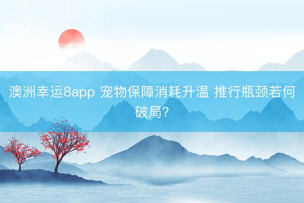 澳洲幸运8app 宠物保障消耗升温 推行瓶颈若何破局?