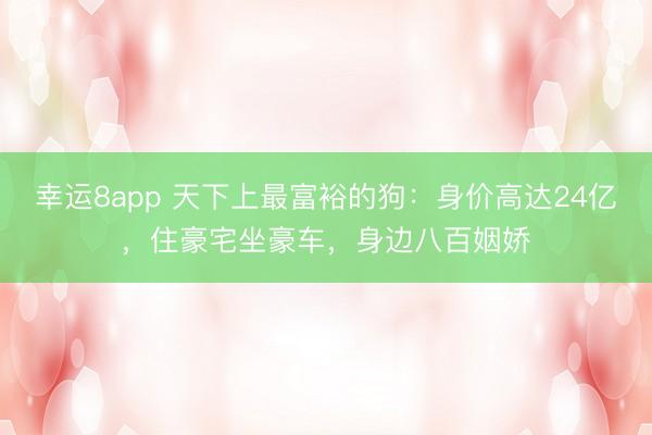 幸运8app 天下上最富裕的狗:身价高达24亿,住豪宅坐豪车,身边八百姻娇