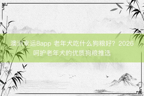 澳洲幸运8app 老年犬吃什么狗粮好？2026呵护老年犬的优质狗粮推选