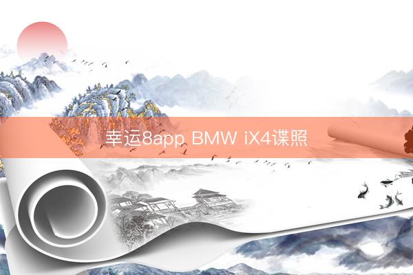 幸运8app BMW iX4谍照