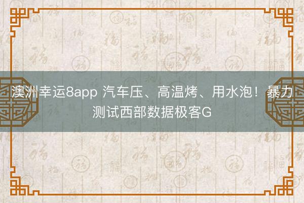 澳洲幸运8app 汽车压、高温烤、用水泡!暴力测试西部数据极客G