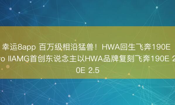 幸运8app 百万级相沿猛兽！HWA回生飞奔190E Evo IIAMG首创东说念主以HWA品牌复刻飞奔190E 2.5