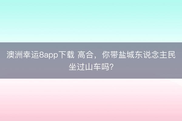 澳洲幸运8app下载 高合，你带盐城东说念主民坐过山车吗？