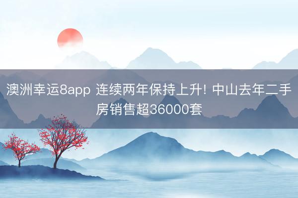 澳洲幸运8app 连续两年保持上升! 中山去年二手房销售超36000套