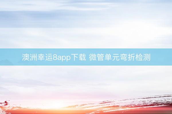 澳洲幸运8app下载 微管单元弯折检测