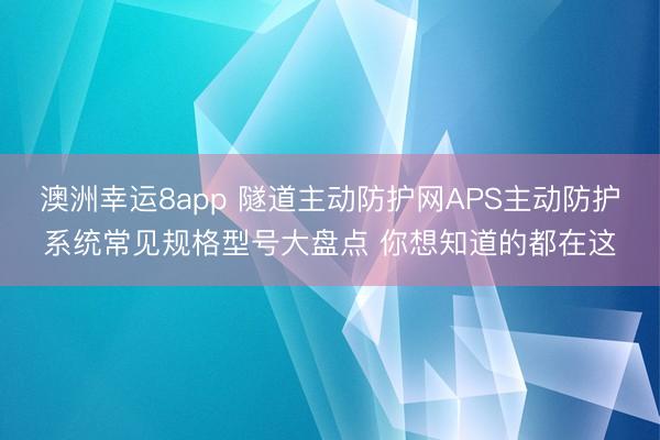 澳洲幸运8app 隧道主动防护网APS主动防护系统常见规格型号大盘点 你想知道的都在这