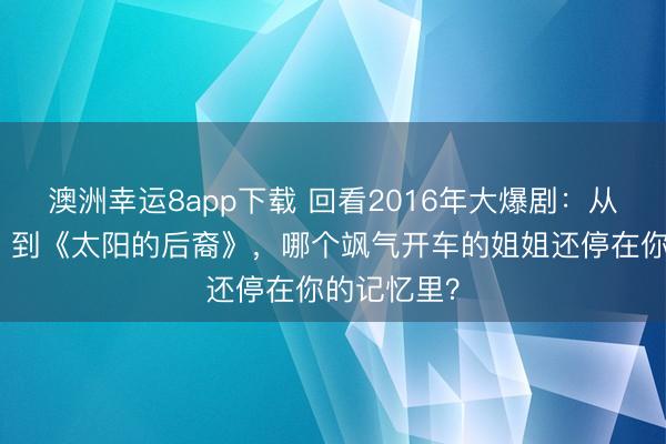 澳洲幸运8app下载 回看2016年大爆剧：从《欢乐颂》到《太阳的后裔》，哪个飒气开车的姐姐还停在你的记忆里？