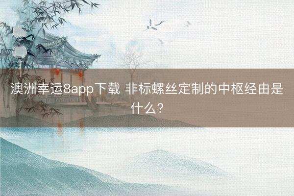 澳洲幸运8app下载 非标螺丝定制的中枢经由是什么?
