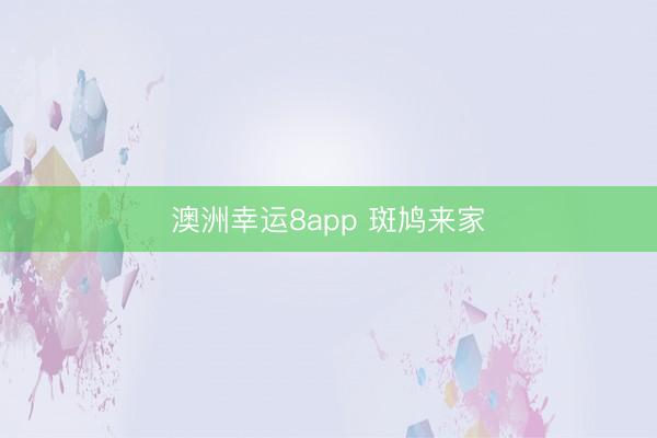 澳洲幸运8app 斑鸠来家