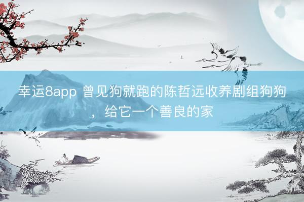 幸运8app 曾见狗就跑的陈哲远收养剧组狗狗,给它一个善良的家