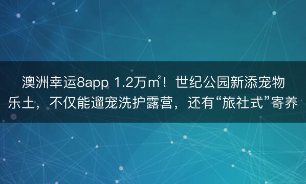 澳洲幸运8app 1.2万㎡！世纪公园新添宠物乐土，不仅能遛宠洗护露营，还有“旅社式”寄养