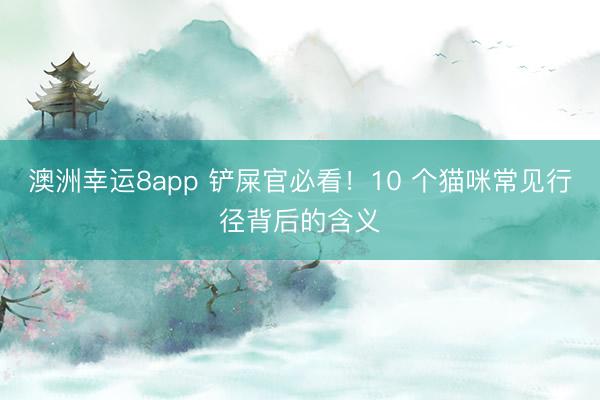 澳洲幸运8app 铲屎官必看！10 个猫咪常见行径背后的含义