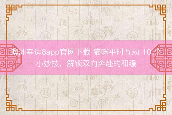 澳洲幸运8app官网下载 猫咪平时互动 10 个小妙技,解锁双向奔赴的和缓