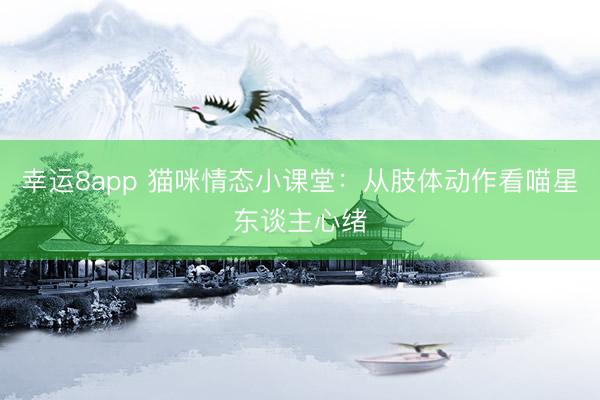 幸运8app 猫咪情态小课堂:从肢体动作看喵星东谈主心绪