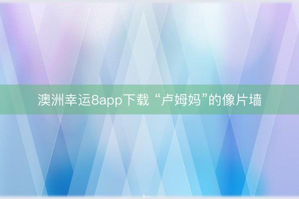 澳洲幸运8app下载 “卢姆妈”的像片墙