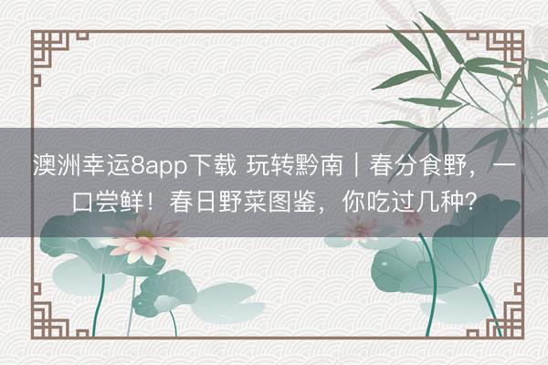澳洲幸运8app下载 玩转黔南｜春分食野，一口尝鲜！春日野菜图鉴，你吃过几种？