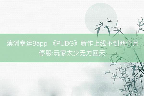 澳洲幸运8app 《PUBG》新作上线不到两个月停服:玩家太少无力回天