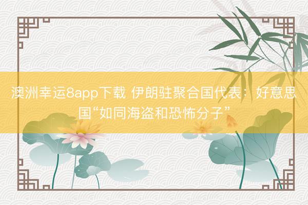 澳洲幸运8app下载 伊朗驻聚合国代表：好意思国“如同海盗和恐怖分子”