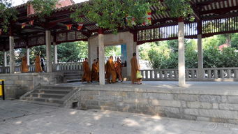 千年古刹 泉州开元寺 二 惊现乱涂鸦