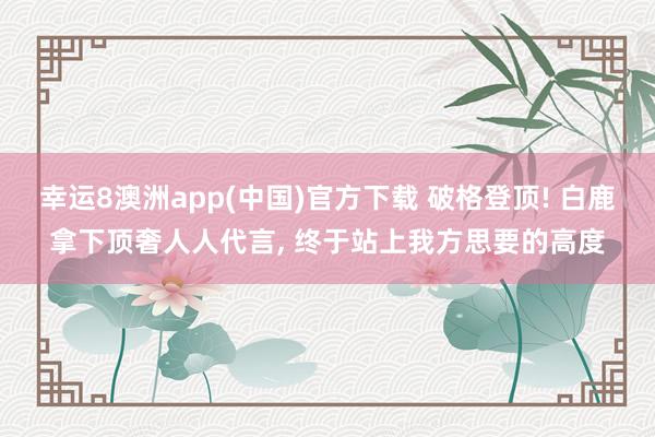 幸运8澳洲app(中国)官方下载 破格登顶! 白鹿拿下顶奢人人代言, 终于站上我方思要的高度
