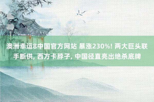 澳洲幸运8中国官方网站 暴涨230%! 两大巨头联手断供, 西方卡脖子, 中国径直亮出绝杀底牌