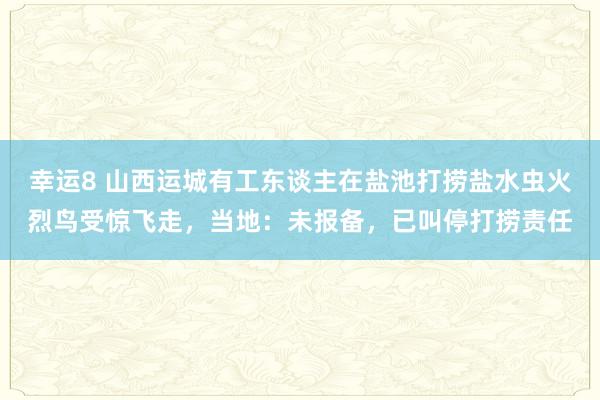 幸运8 山西运城有工东谈主在盐池打捞盐水虫火烈鸟受惊飞走,当地:未报备,已叫停打捞责任