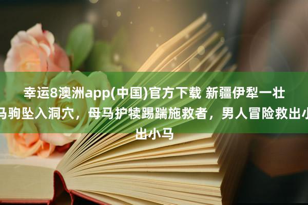 幸运8澳洲app(中国)官方下载 新疆伊犁一壮盛马驹坠入洞穴，母马护犊踢踹施救者，男人冒险救出小马