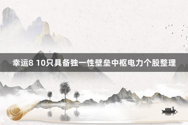 幸运8 10只具备独一性壁垒中枢电力个股整理
