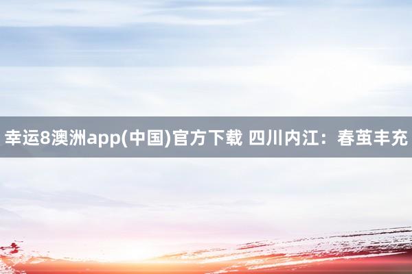 幸运8澳洲app(中国)官方下载 四川内江：春茧丰充