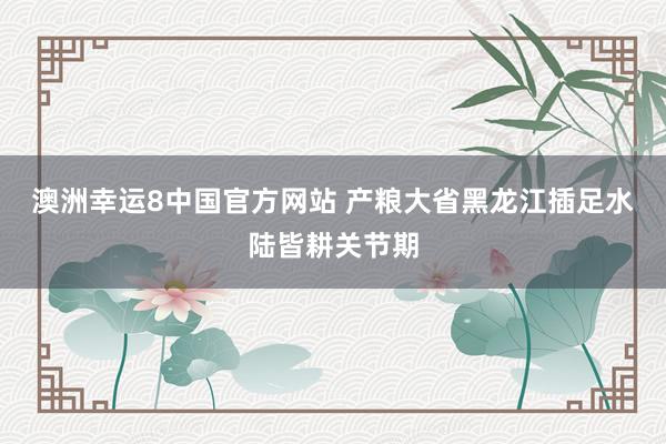 澳洲幸运8中国官方网站 产粮大省黑龙江插足水陆皆耕关节期