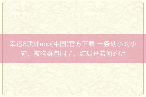 幸运8澳洲app(中国)官方下载 一条幼小的小狗，被狗群包围了，结局是若何的呢