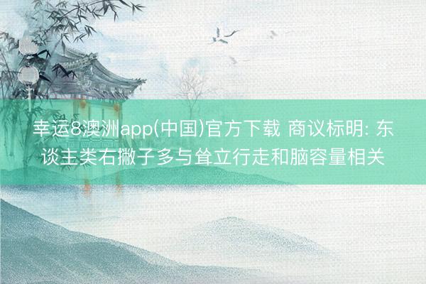 幸运8澳洲app(中国)官方下载 商议标明: 东谈主类右撇子多与耸立行走和脑容量相关
