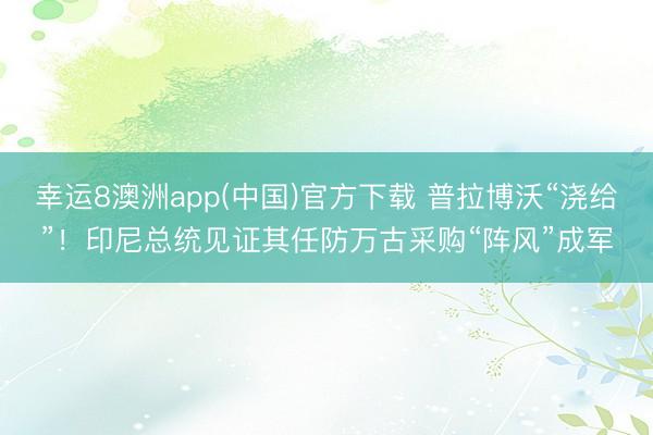 幸运8澳洲app(中国)官方下载 普拉博沃“浇给”!印尼总统见证其任防万古采购“阵风”成军