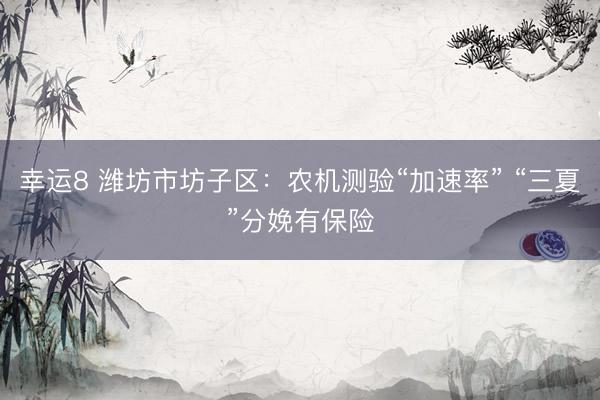 幸运8 潍坊市坊子区:农机测验“加速率” “三夏”分娩有保险