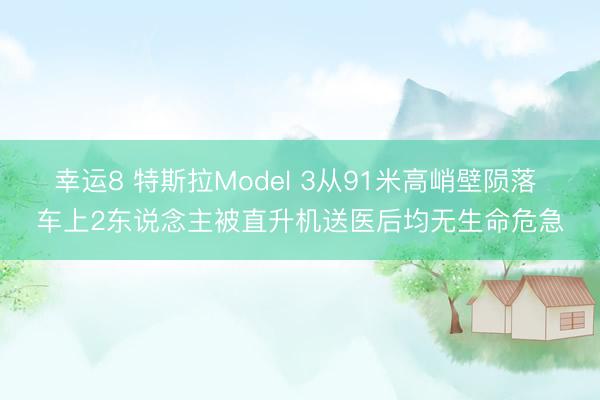 幸运8 特斯拉Model 3从91米高峭壁陨落 车上2东说念主被直升机送医后均无生命危急
