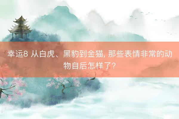 幸运8 从白虎、黑豹到金猫, 那些表情非常的动物自后怎样了?