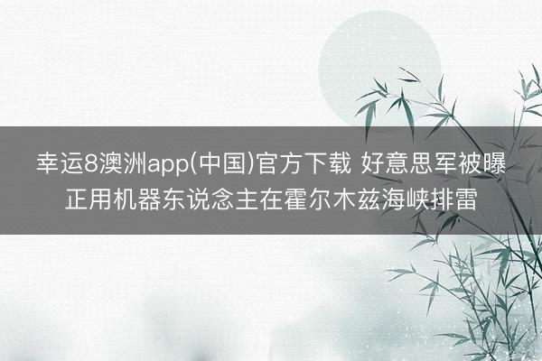 幸运8澳洲app(中国)官方下载 好意思军被曝正用机器东说念主在霍尔木兹海峡排雷