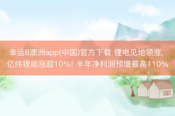 幸运8澳洲app(中国)官方下载 锂电见地领涨, 亿纬锂能涨超10%! 半年净利润预增最高110%